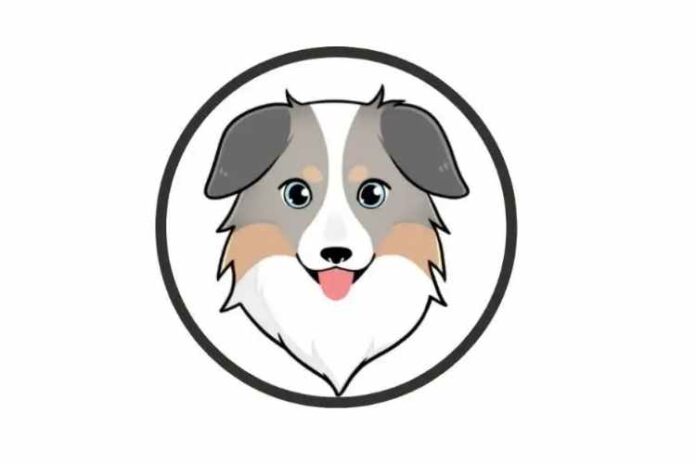 Best Crypto To Buy Now Australian Safe Shepherd Know All The Information In Detail Concern Press